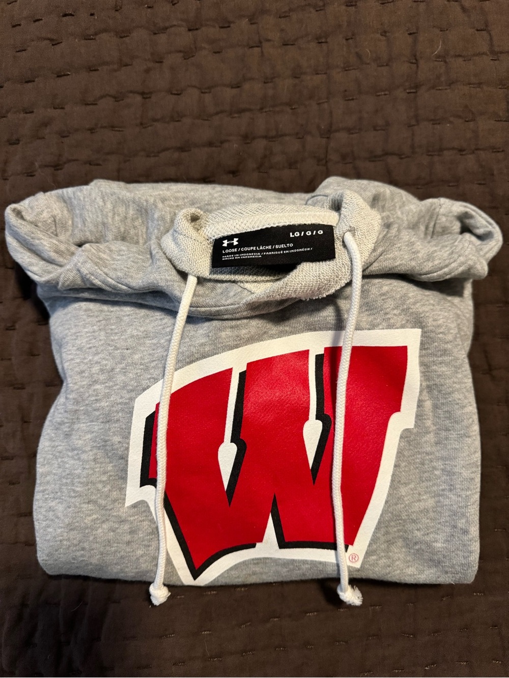 Wisconsin Under Armour Men’s shirtsleeve Hoodie (Gray)